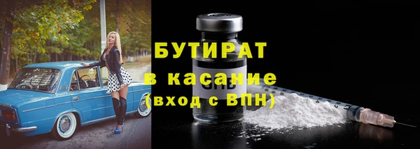 индика Алзамай