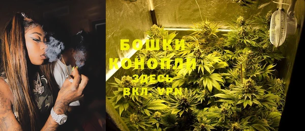 индика Алзамай