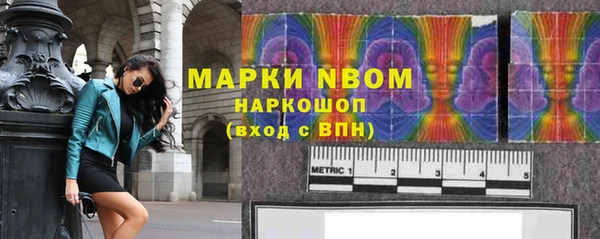 индика Алзамай