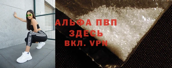 индика Алзамай