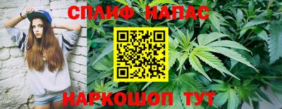 каннабис Кингисепп