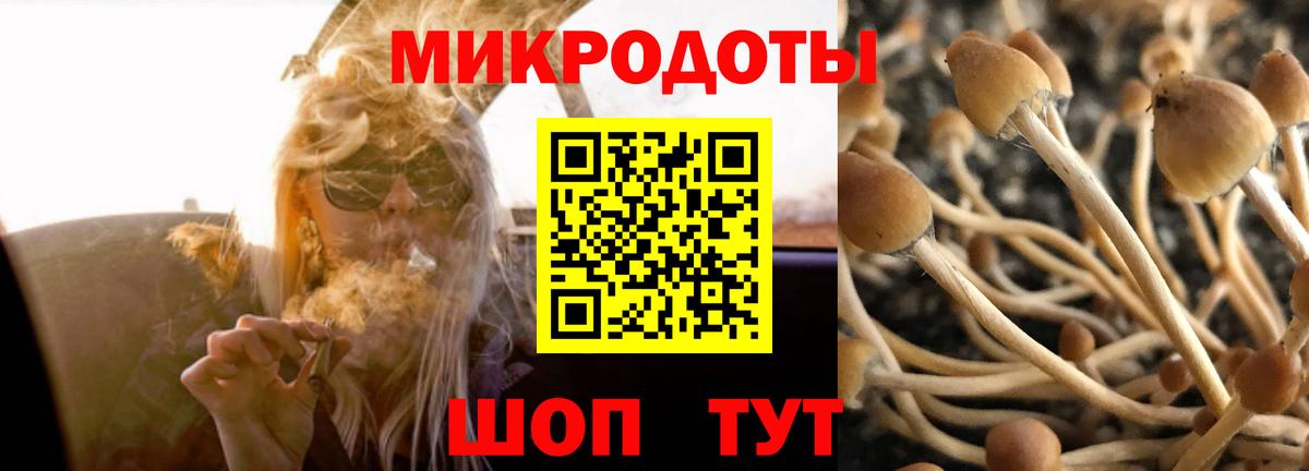 Киров  Галлюциногенные грибы Cubensis  Вход с VPN 